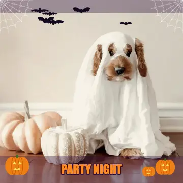 Halloween effect on a dog in a ghost costume — online photo booth